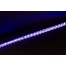  LONG FLEX 10 BLEU 1M IP20 230V 