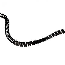  SHARK EXOSQUELETTE 2m noir 