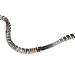  SHARK EXOSQUELETTE 2m inox 