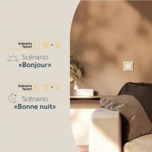  AMY� LANCEUR SCENARIO TAHOMA� 