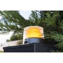  FEU ORANGE MPRO 24V IO LED 