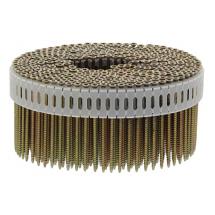  PTES IN NAILSCREW 2,5X35 GAL12 