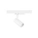  Pixo S 14W 1650 930 N/M/WB Bl 