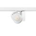  BCON XXL MB O/B DIM 3K L3 WHT 