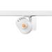  BCON XXL WB 3K L3 WHT 