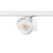  BCON XXL WB O/B DIM 3K L3 WHT 