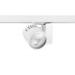  BCON XXL NB O/B DIM 4K L3 WHT 