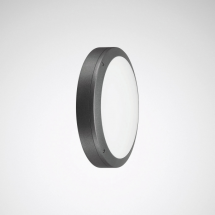  SKEO CIRC MULTILC WD2 1G1Y ETD 