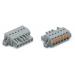  FL.CCS 5,0MM KN,RN BF 24-P.GRA 