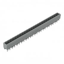  CONNECT MALE 5MM 24P/DR/BR/1.2 