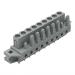  FEDERL.GERAD.EINLT. 5,00MM 9- 