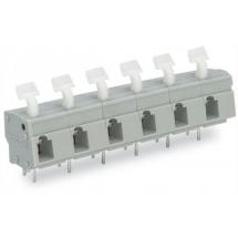  BARR.C.J. 10/10,62 MMC 24-POL. 