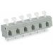  BARR.C.J. 10/10,62 MMC 24-POL. 