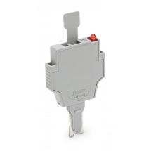  FICHE FUSIBLE 24 VAC/DC LED BI 