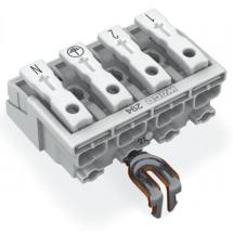  LAK17 4P ORF RPE 1 2 PE N 
