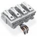 LAK17 4P ORF RPE 1 2 PE N 