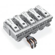  LAK17 5P ORF RPE L3 L2 L1 PE N 