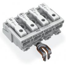 LAK17 4P ORF RPE 1/L' 2/L PE N 