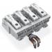  LAK17 4P ORF RPE 1/L' 2/L PE N 