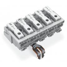  LAK17 5P ORF RPE L' N' L PE N 
