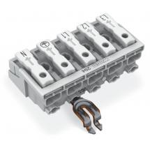  LAK17 5P ORF ZPE L3 L2 L1 PE N 