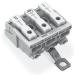  LAK17 3P ORF SPE 1 PE N 