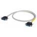  CORD. TSX   A8ES  1M 