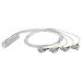  CORD. QUANTUM  2XT16ESHT  1M 