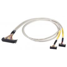  CORD. QUANTUM  A8S     1M 