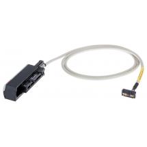  CORD. CONTROL LX A6E RTD 1M 