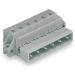  CONNECTEUR MALE 8 POLES / PAS 