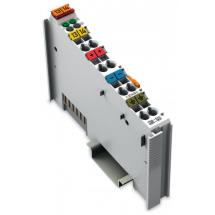  BORNE 1 CANAL PULSATION (2KHZM 