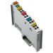  BORNE 1 CANAL BRANCHEMENT - SS 