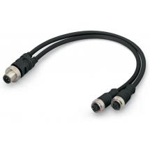  CABLE DE DISTRIB. 2XM12 FEMELL 