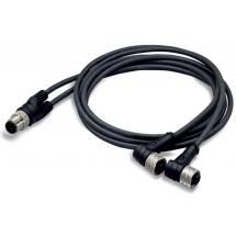  CABLE DE DISTRIB. 2XM12 FEMELL 