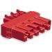  WINSTA MIDI CONN F INTERM.5E P 