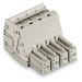  CONNECT FEM CCS 7,62MM 8 P/GRI 