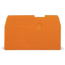  PLAQUE D'EXTREMITE ET INTERMED 